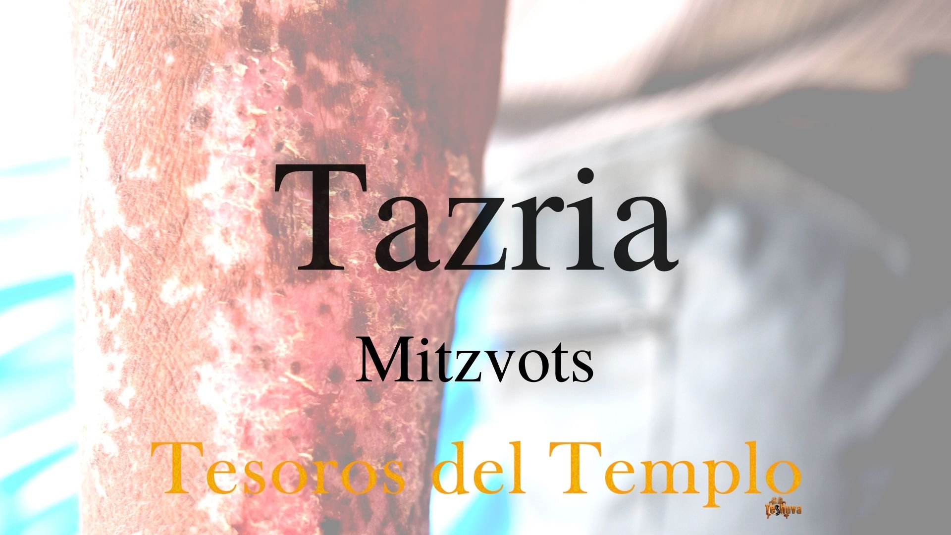 tazria-Mitzvot-2022