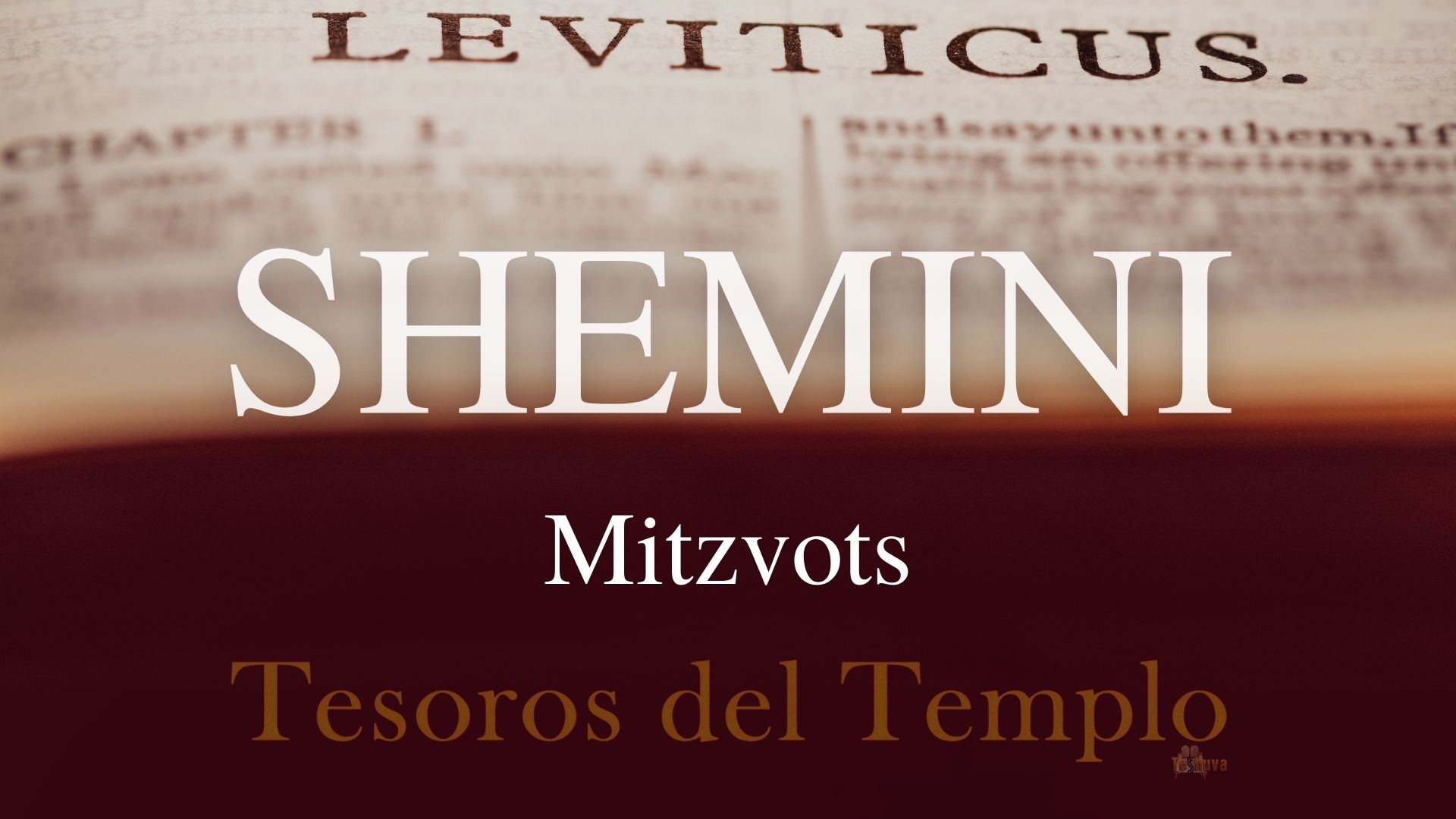 SHEMINI-Mitzvot-2022