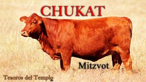 chukat-Mitzvot-2022