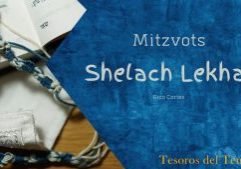 Shelach Lekha -Mitzvot-2022